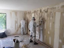 Reliable Gladewater, TX Mold Prevention & Removal  Solutions